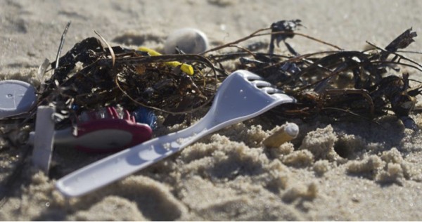Marine Debris1