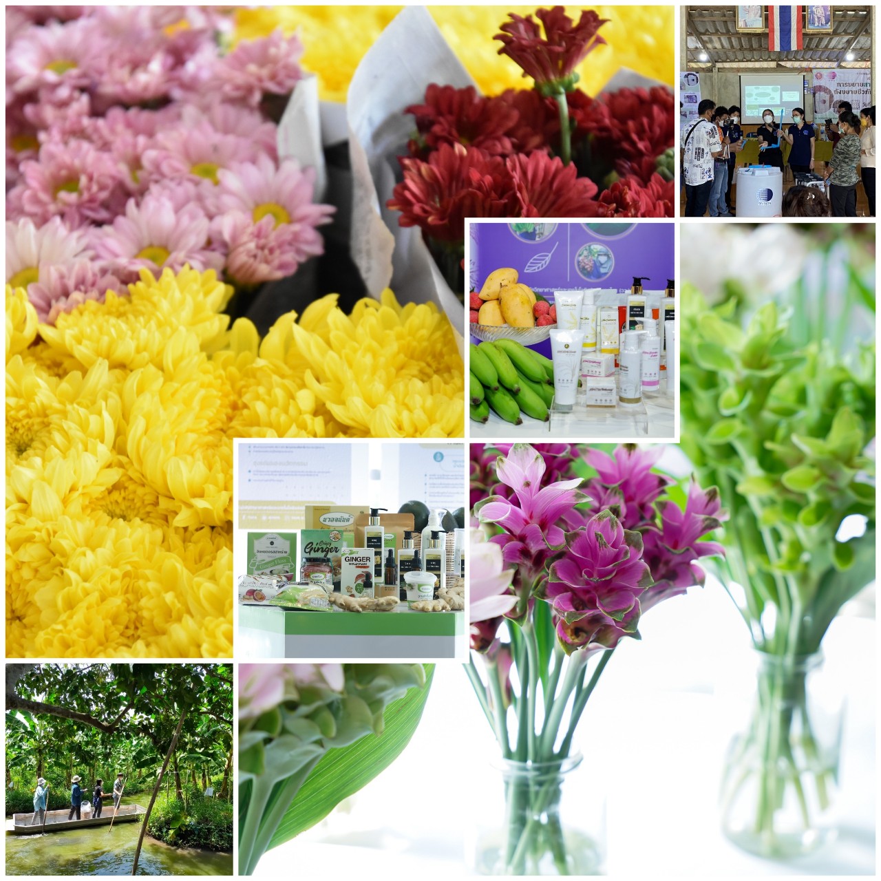 รูปภาพ