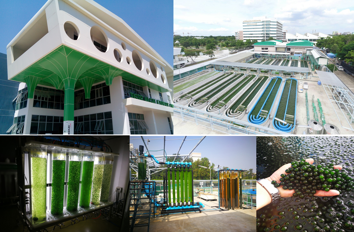 รูปภาพ