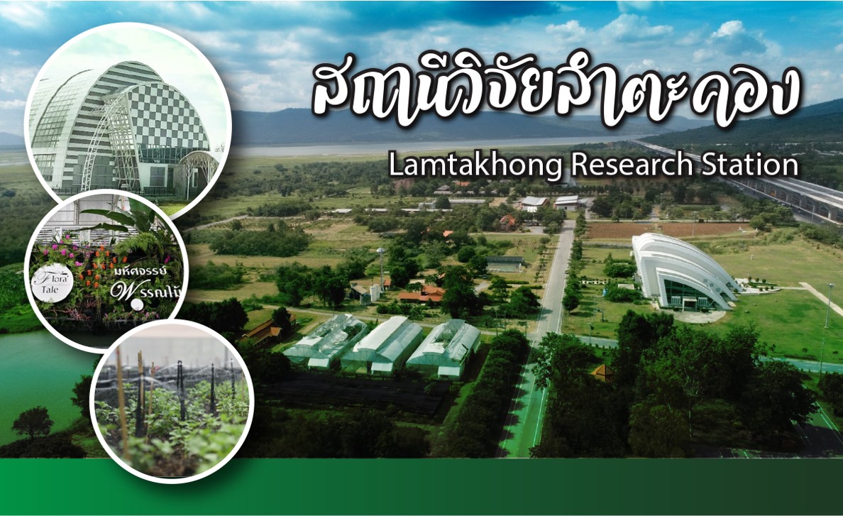 สถานีวิจัยลำตะคอง