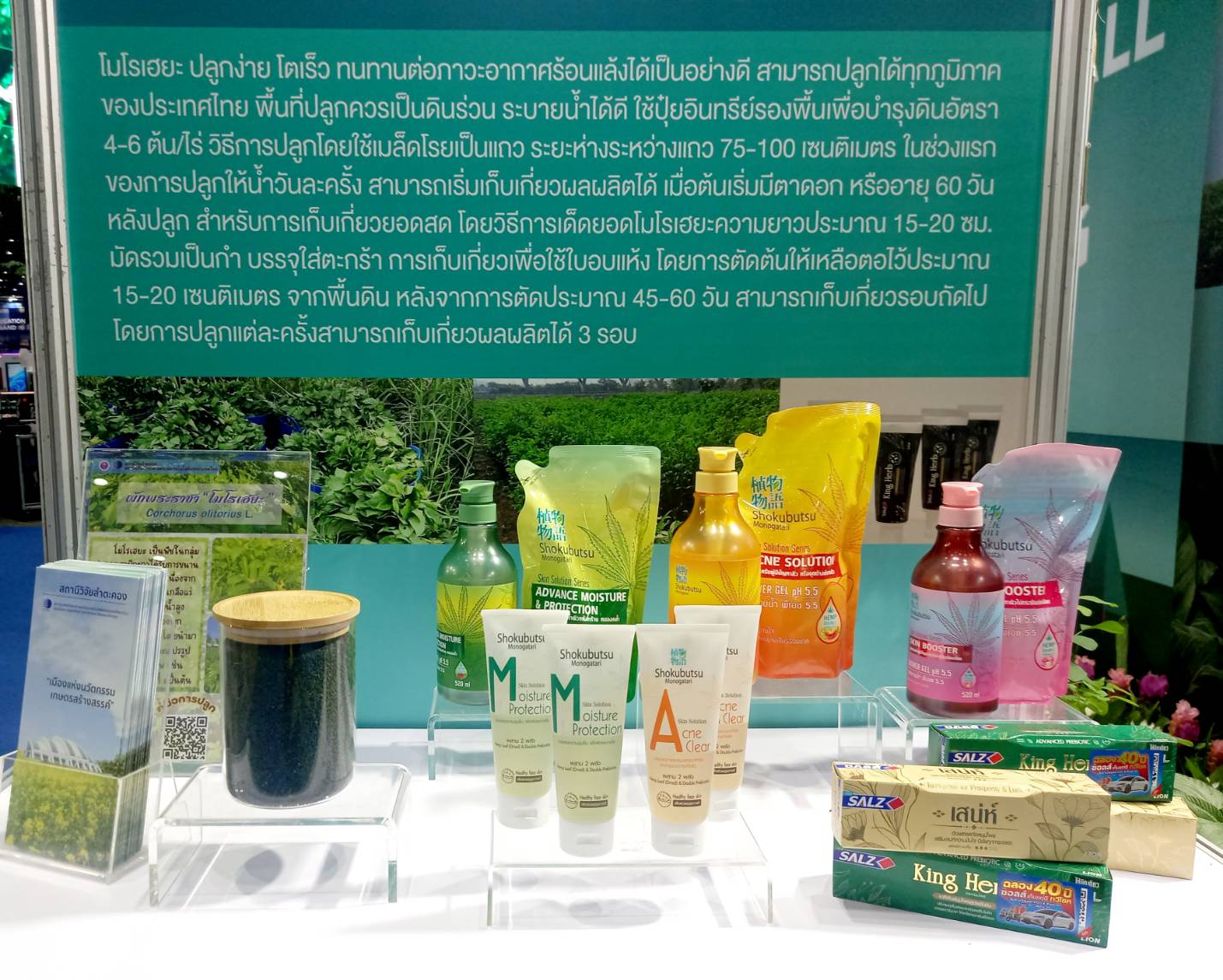 รูปภาพ