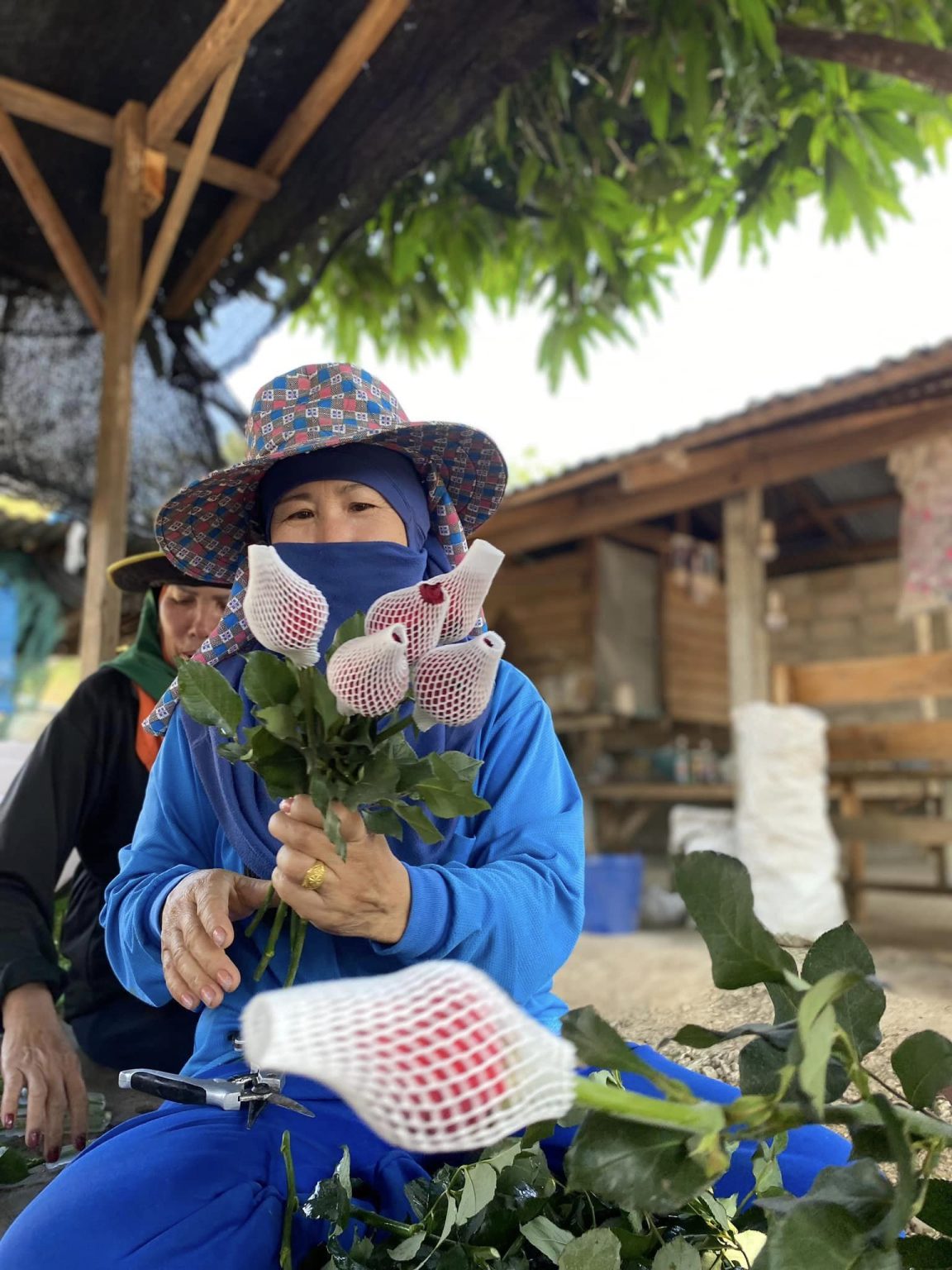 รูปภาพ