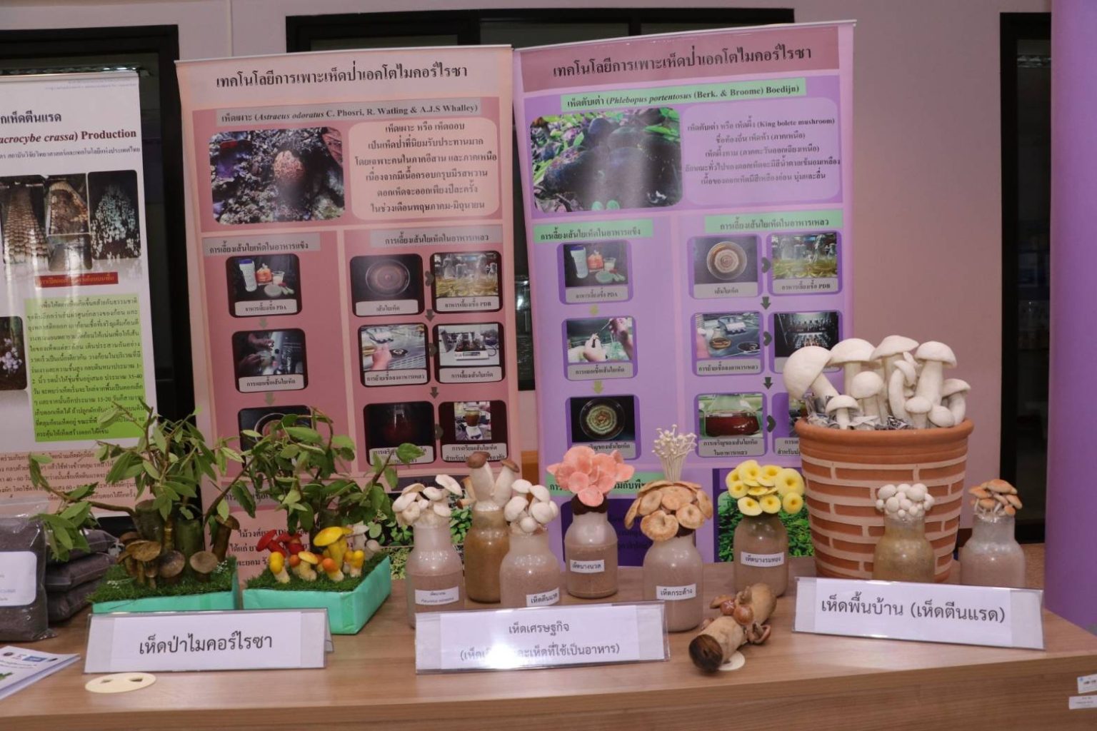 รูปภาพ