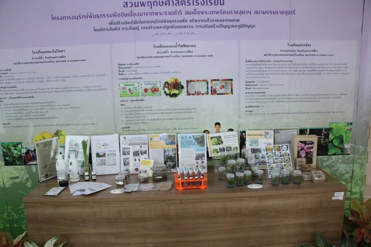รูปภาพ