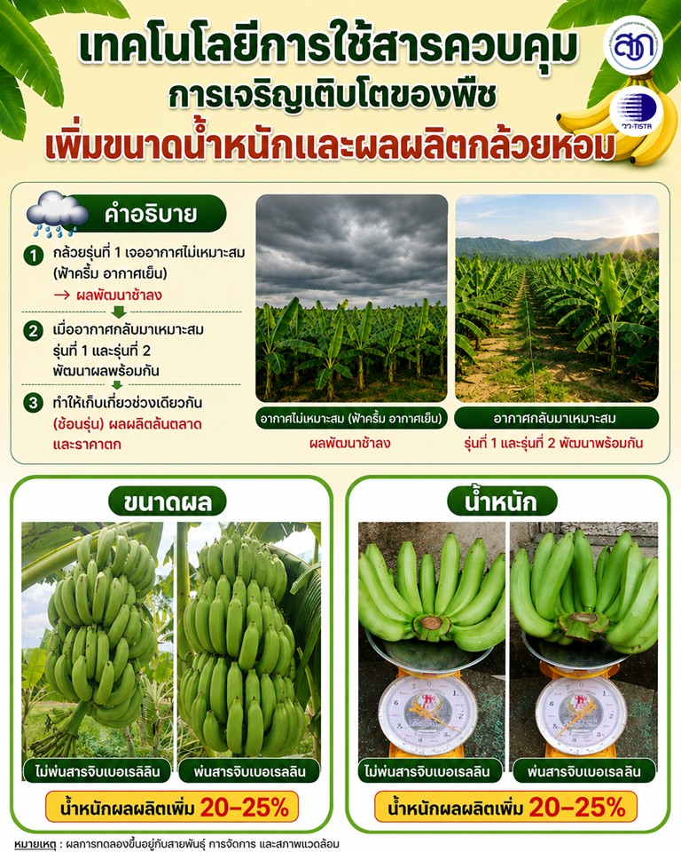 p 4 messageImage 1786006577690