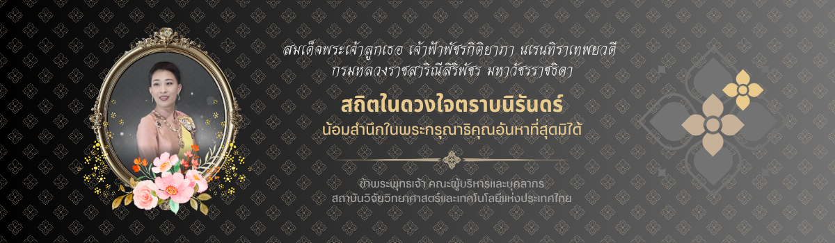 น้อมรำลึกพระองค์ภา 