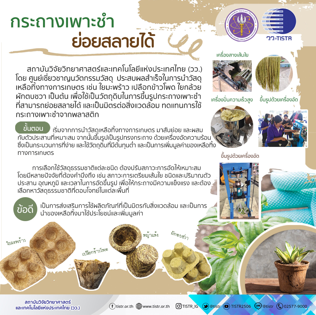 กระถางเพาะชำย่อยสลายได้