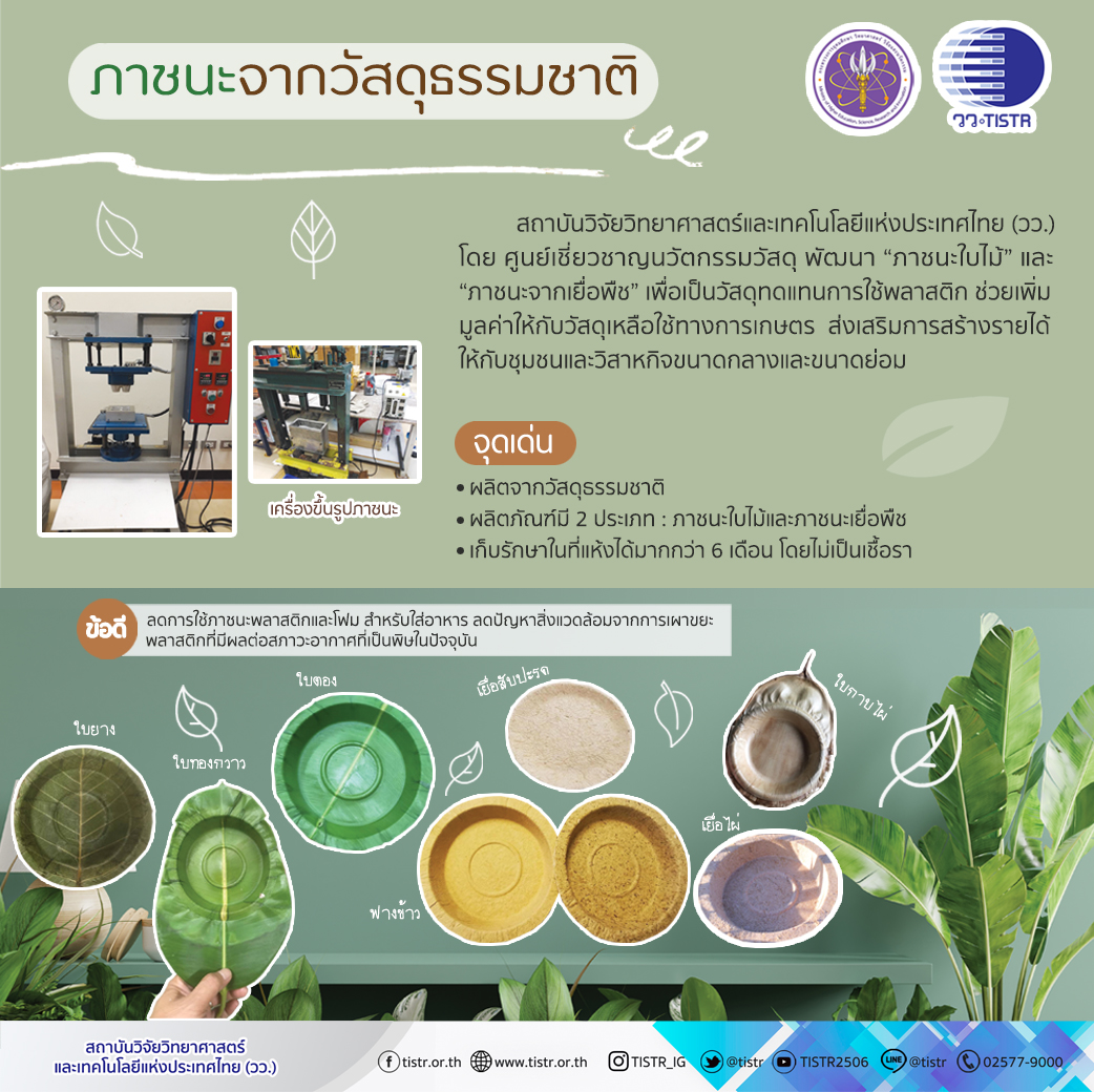 ภาชนะจากวัสดุธรรมชาติ