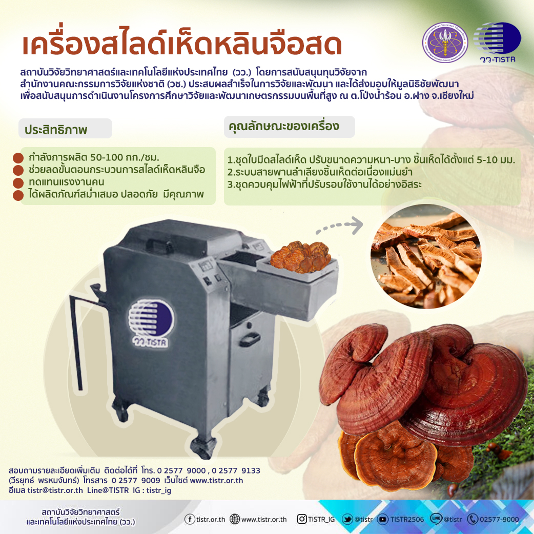  เครื่องสไลด์เห็ดหลินจือสด