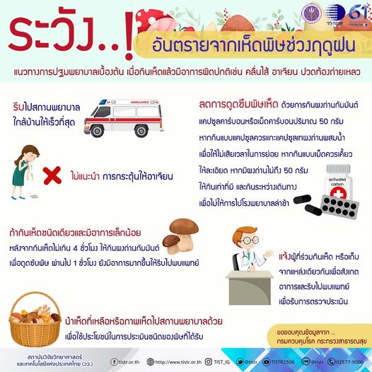 อันตรายจากเห็ดพิษ