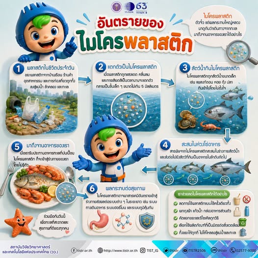 Media Cover