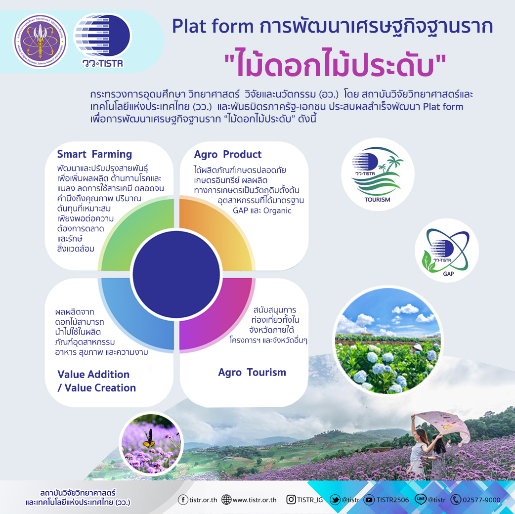 Plat Form การพัฒนาเศรษฐกิจฐานรากไม้ดอกไม้ประดับ