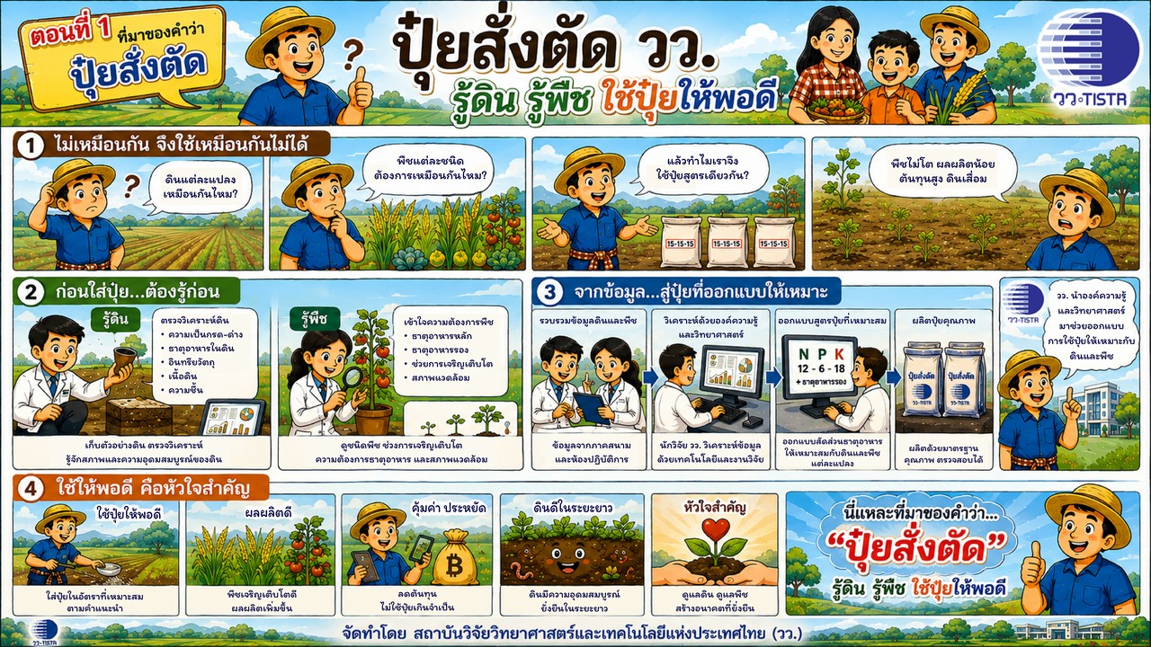 Media Cover