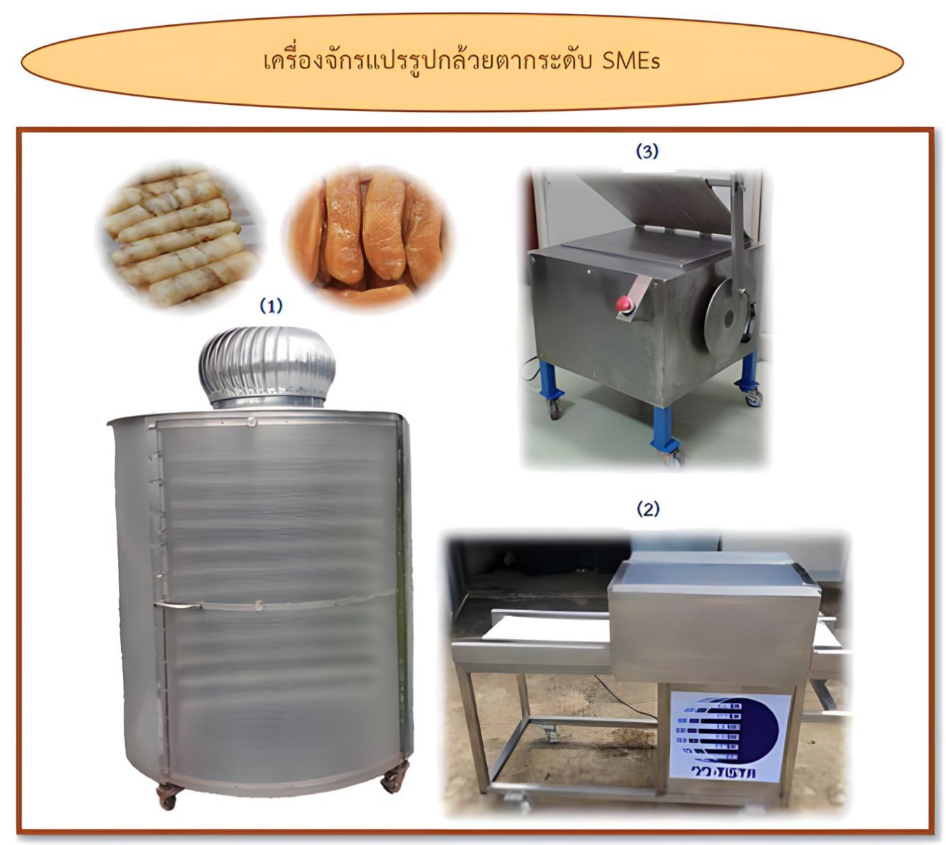 วว. วิจัยพัฒนาเครื่องจักรแปรรูปกล้วยตากระดับ SMEs เพิ่มศักยภาพการผลิต ขับเคลื่อนเศรษฐกิจฐานราก