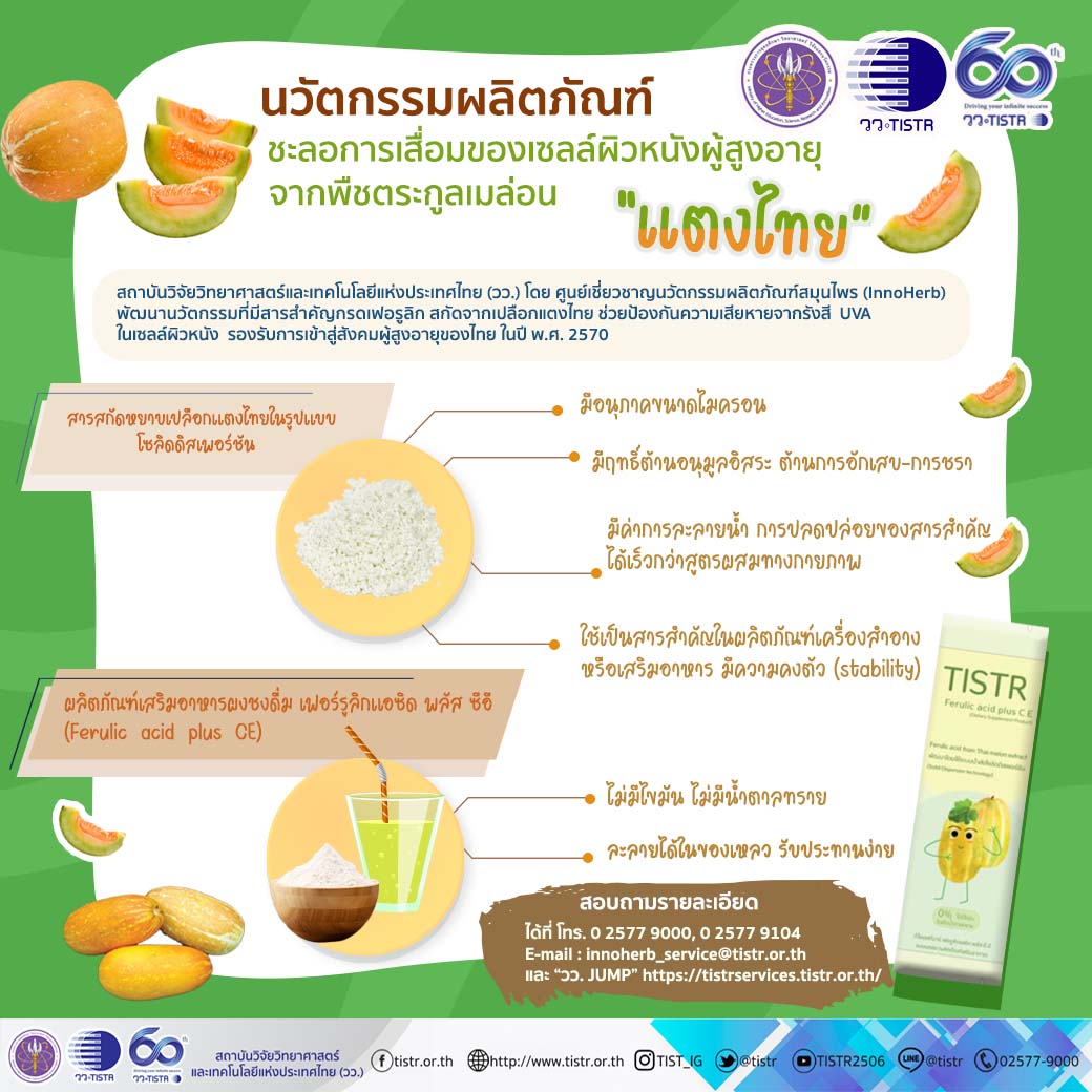วว. เจ๋งพัฒนานวัตกรรมผลิตภัณฑ์ชะลอการเสื่อมของเซลล์ผิวหนังผู้สูงอายุ จากพืชตระกูลเมล่อน “แตงไทย”