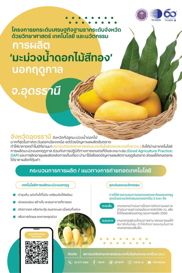 INFO %E0%B8%AD%E0%B8%B8%E0%B8%94%E0%B8%A3%E0%B8%98%E0%B8%B2%E0%B8%99%E0%B8%B5 S 33448068 768x1152