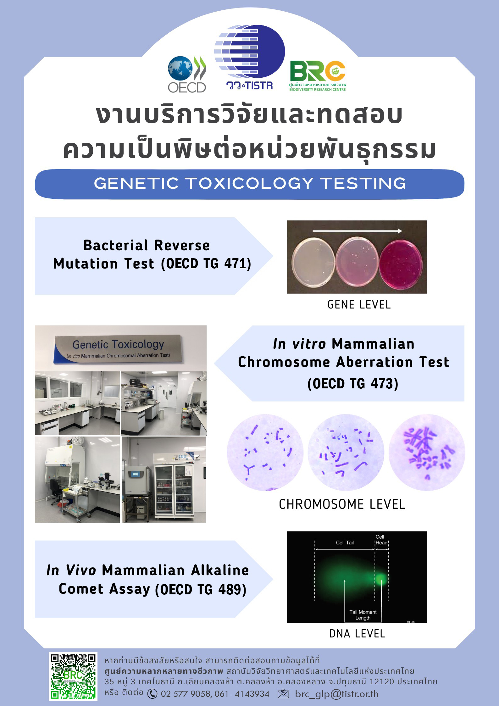 วว ให้บริการวิจัยและทดสอบความเป็นพิษต่อหน่วยพันธุกรรม — กองประชาสัมพันธ์ วว